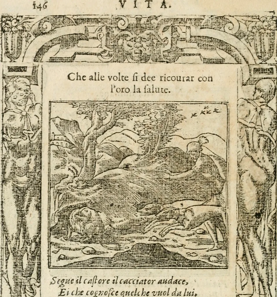 An illustration from Diverse imprese accommodate a diuerse moralità : con versi che i loro significati dichiarano insieme con molte altre nella lingua italiana non piu tradotte, 1564, leaf 149