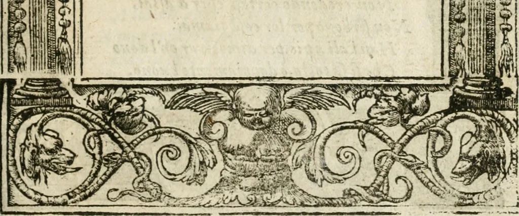An illustration from Diverse imprese accommodate a diuerse moralità : con versi che i loro significati dichiarano insieme con molte altre nella lingua italiana non piu tradotte, 1564, leaf 156