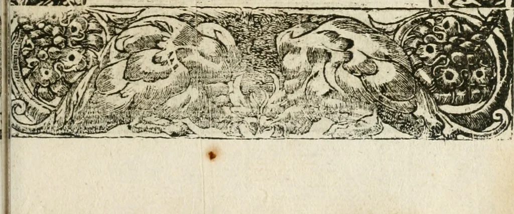 An illustration from Diverse imprese accommodate a diuerse moralità : con versi che i loro significati dichiarano insieme con molte altre nella lingua italiana non piu tradotte, 1564, leaf 160
