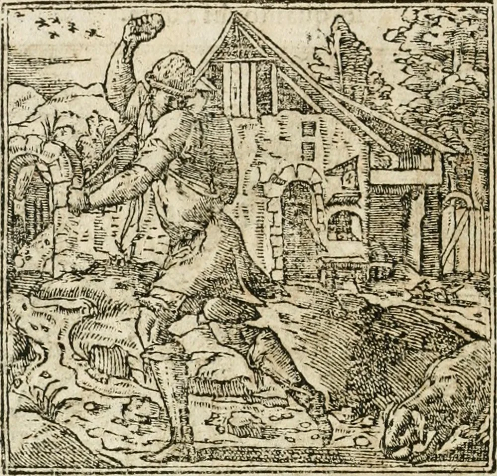 An illustration from Diverse imprese accommodate a diuerse moralità : con versi che i loro significati dichiarano insieme con molte altre nella lingua italiana non piu tradotte, 1564, leaf 165