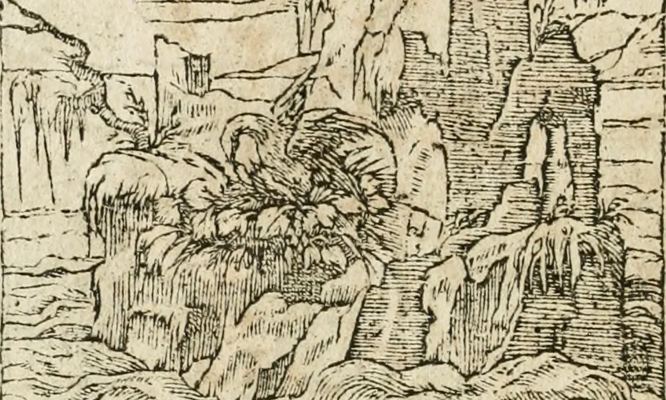 An illustration from Diverse imprese accommodate a diuerse moralità : con versi che i loro significati dichiarano insieme con molte altre nella lingua italiana non piu tradotte, 1564, leaf 167