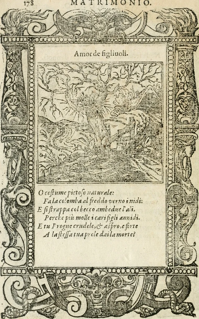 An illustration from Diverse imprese accommodate a diuerse moralità : con versi che i loro significati dichiarano insieme con molte altre nella lingua italiana non piu tradotte, 1564, leaf 179