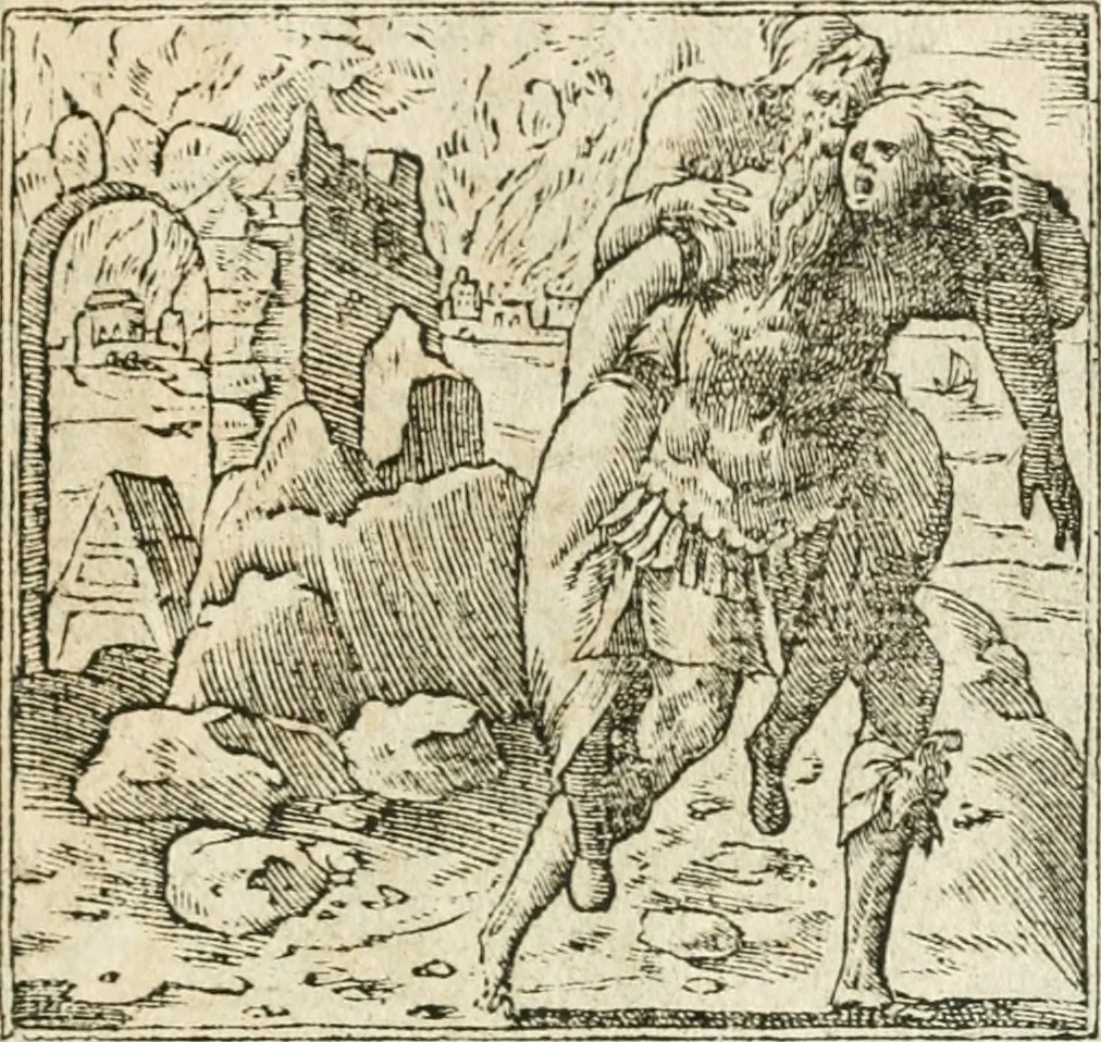 An illustration from Diverse imprese accommodate a diuerse moralità : con versi che i loro significati dichiarano insieme con molte altre nella lingua italiana non piu tradotte, 1564, leaf 180