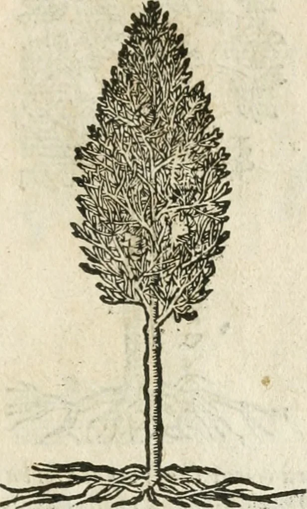 An illustration from Diverse imprese accommodate a diuerse moralità : con versi che i loro significati dichiarano insieme con molte altre nella lingua italiana non piu tradotte, 1564, leaf 182