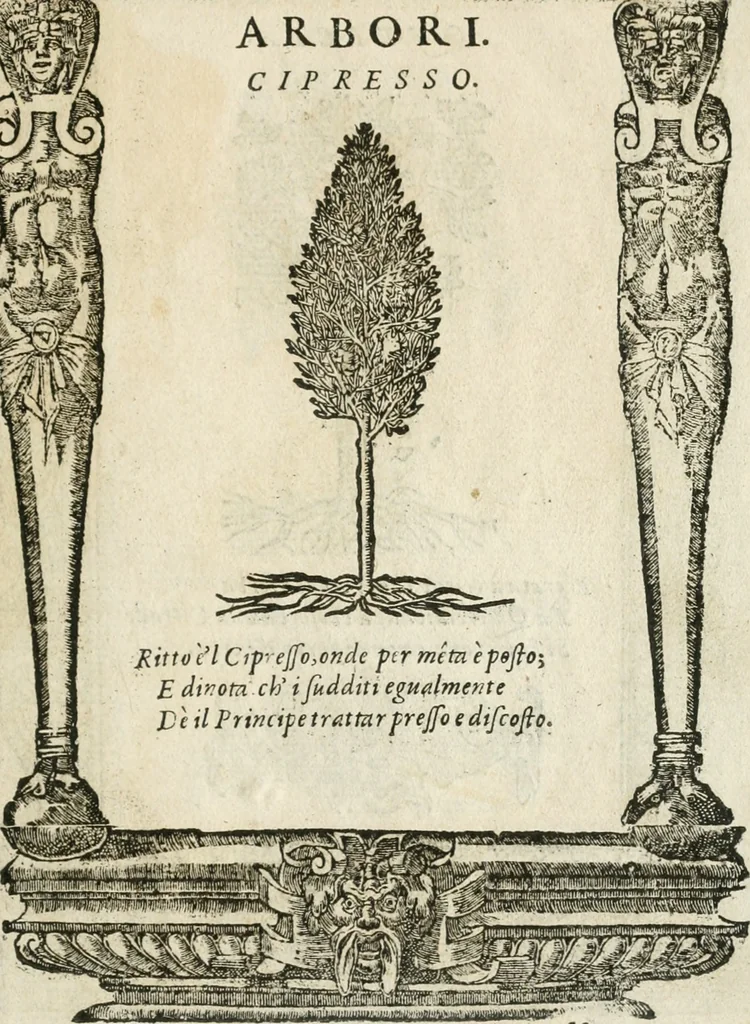 An illustration from Diverse imprese accommodate a diuerse moralità : con versi che i loro significati dichiarano insieme con molte altre nella lingua italiana non piu tradotte, 1564, leaf 182