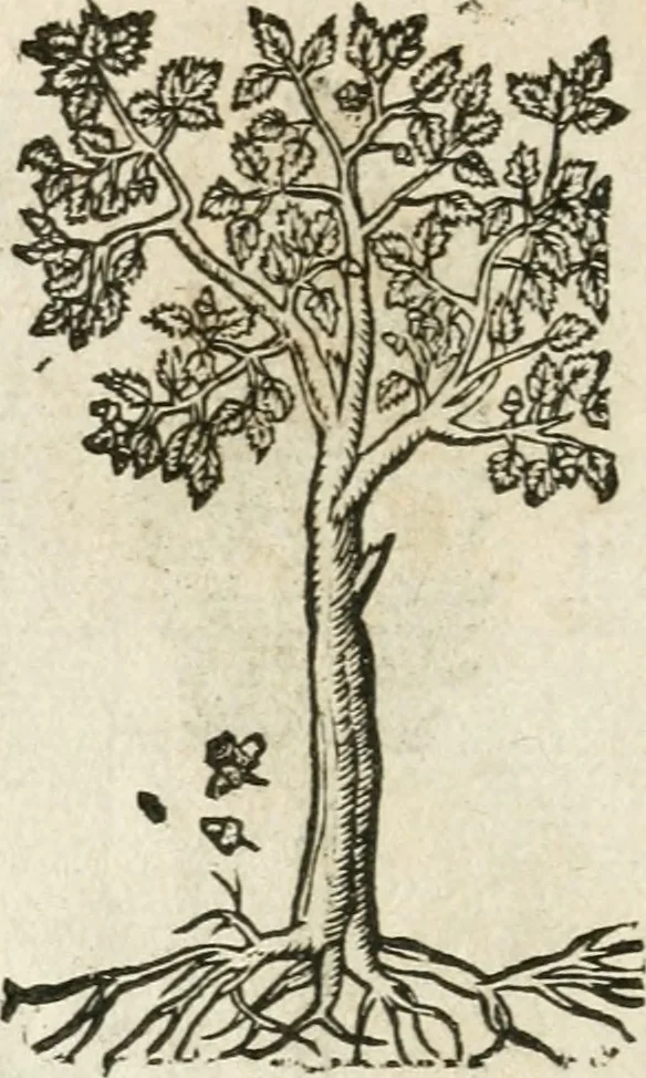 An illustration from Diverse imprese accommodate a diuerse moralità : con versi che i loro significati dichiarano insieme con molte altre nella lingua italiana non piu tradotte, 1564, leaf 183