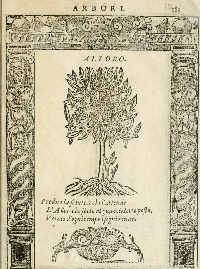 An illustration from Diverse imprese accommodate a diuerse moralità : con versi che i loro significati dichiarano insieme con molte altre nella lingua italiana non piu tradotte, 1564, leaf 184