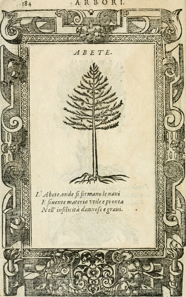 An illustration from Diverse imprese accommodate a diuerse moralità : con versi che i loro significati dichiarano insieme con molte altre nella lingua italiana non piu tradotte, 1564, leaf 185