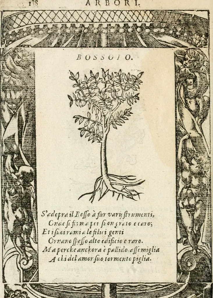 An illustration from Diverse imprese accommodate a diuerse moralità : con versi che i loro significati dichiarano insieme con molte altre nella lingua italiana non piu tradotte, 1564, leaf 189