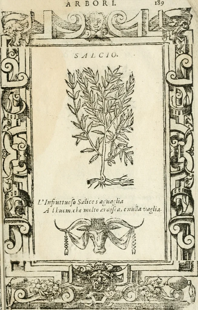 An illustration from Diverse imprese accommodate a diuerse moralità : con versi che i loro significati dichiarano insieme con molte altre nella lingua italiana non piu tradotte, 1564, leaf 190