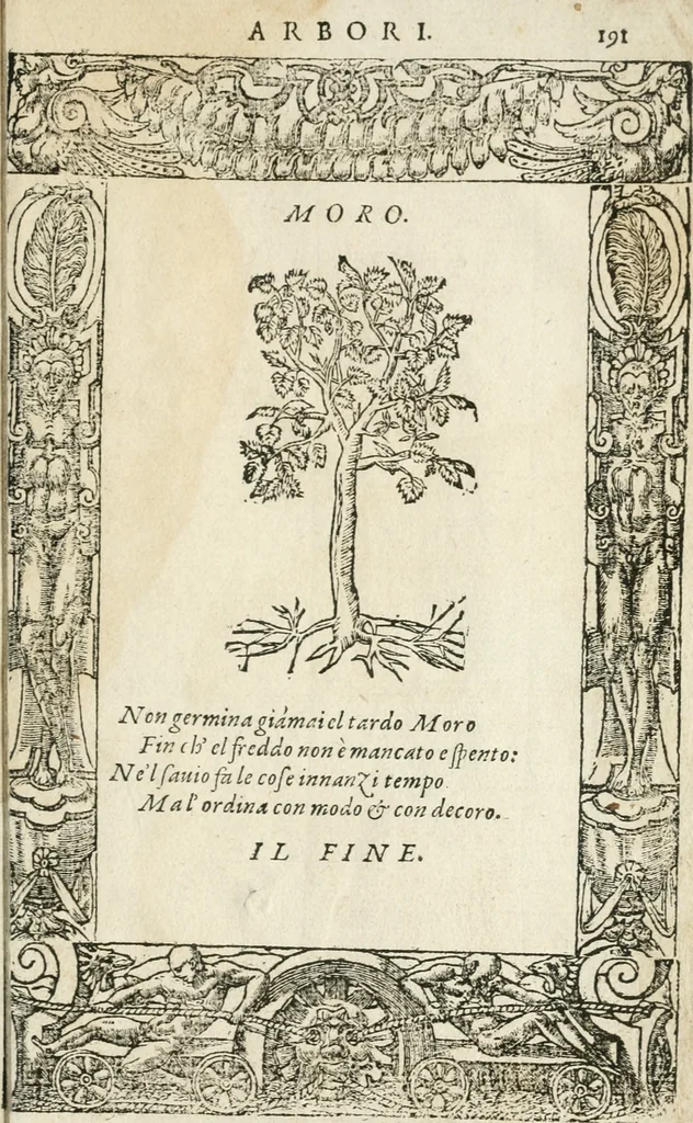 An illustration from Diverse imprese accommodate a diuerse moralità : con versi che i loro significati dichiarano insieme con molte altre nella lingua italiana non piu tradotte, 1564, leaf 192