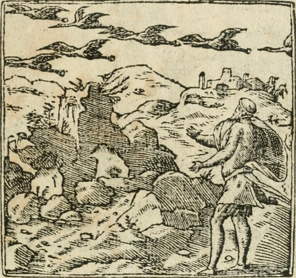 An illustration from Diverse imprese accommodate a diuerse moralità : con versi che i loro significati dichiarano insieme con molte altre nella lingua italiana non piu tradotte, 1564, leaf 22
