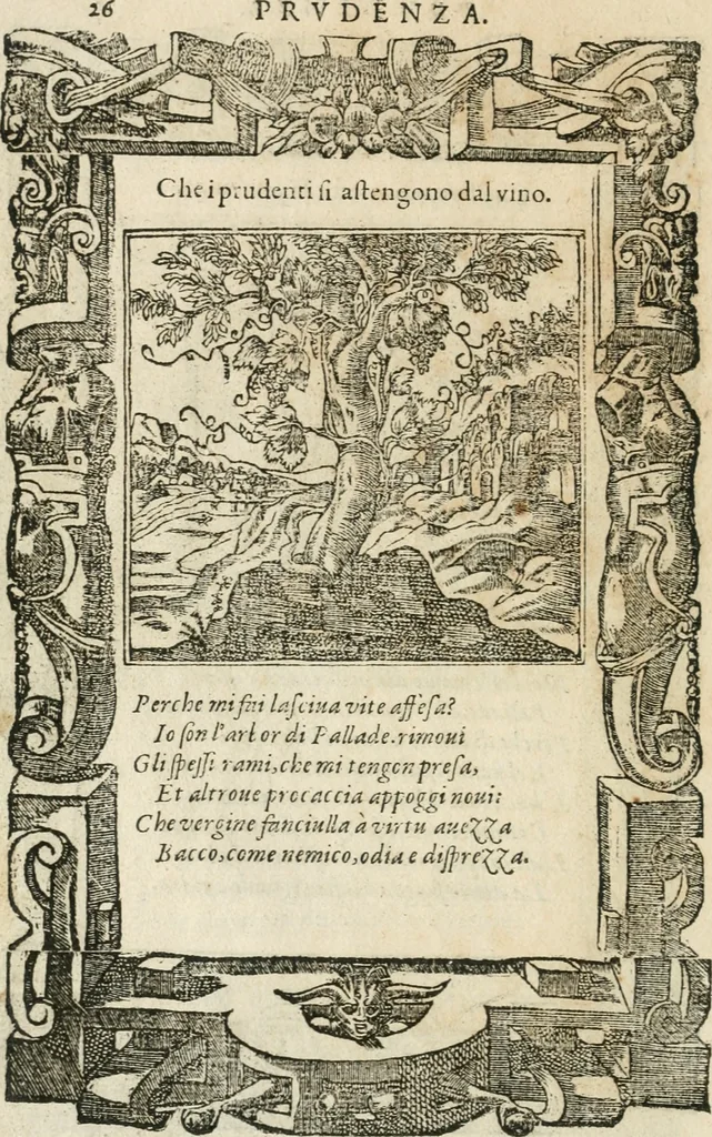An illustration from Diverse imprese accommodate a diuerse moralità : con versi che i loro significati dichiarano insieme con molte altre nella lingua italiana non piu tradotte, 1564, leaf 29