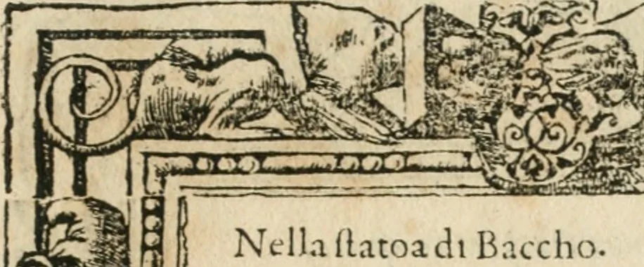 An illustration from Diverse imprese accommodate a diuerse moralità : con versi che i loro significati dichiarano insieme con molte altre nella lingua italiana non piu tradotte, 1564, leaf 30