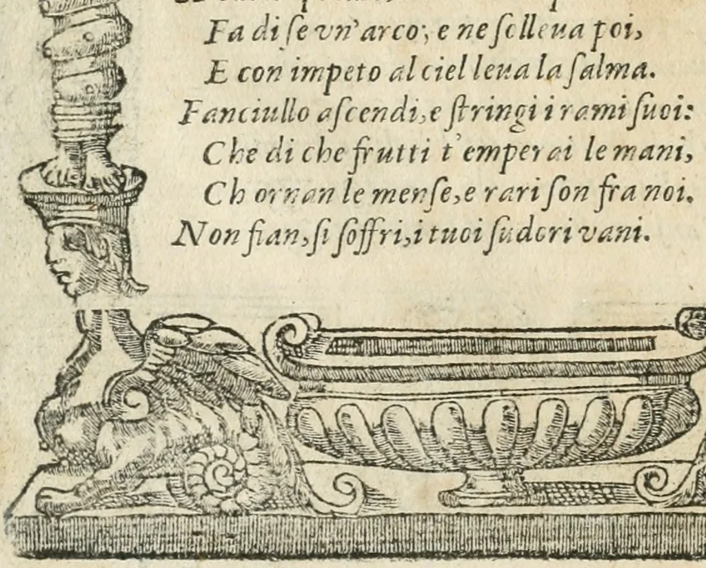 An illustration from Diverse imprese accommodate a diuerse moralità : con versi che i loro significati dichiarano insieme con molte altre nella lingua italiana non piu tradotte, 1564, leaf 41