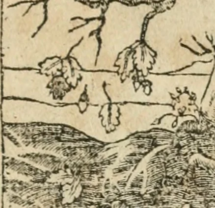 An illustration from Diverse imprese accommodate a diuerse moralità : con versi che i loro significati dichiarano insieme con molte altre nella lingua italiana non piu tradotte, 1564, leaf 46