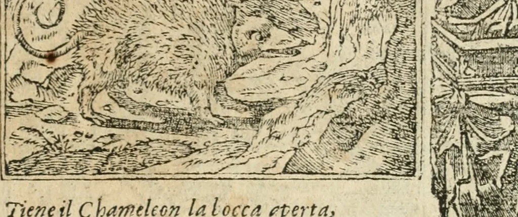 An illustration from Diverse imprese accommodate a diuerse moralità : con versi che i loro significati dichiarano insieme con molte altre nella lingua italiana non piu tradotte, 1564, leaf 58
