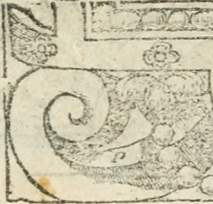 An illustration from Diverse imprese accommodate a diuerse moralità : con versi che i loro significati dichiarano insieme con molte altre nella lingua italiana non piu tradotte, 1564, leaf 73
