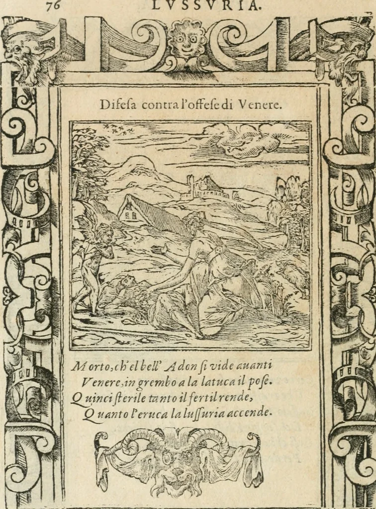 An illustration from Diverse imprese accommodate a diuerse moralità : con versi che i loro significati dichiarano insieme con molte altre nella lingua italiana non piu tradotte, 1564, leaf 79