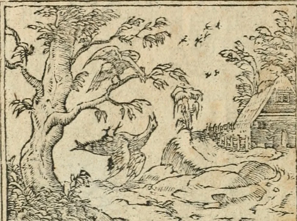 An illustration from Diverse imprese accommodate a diuerse moralità : con versi che i loro significati dichiarano insieme con molte altre nella lingua italiana non piu tradotte, 1564, leaf 95