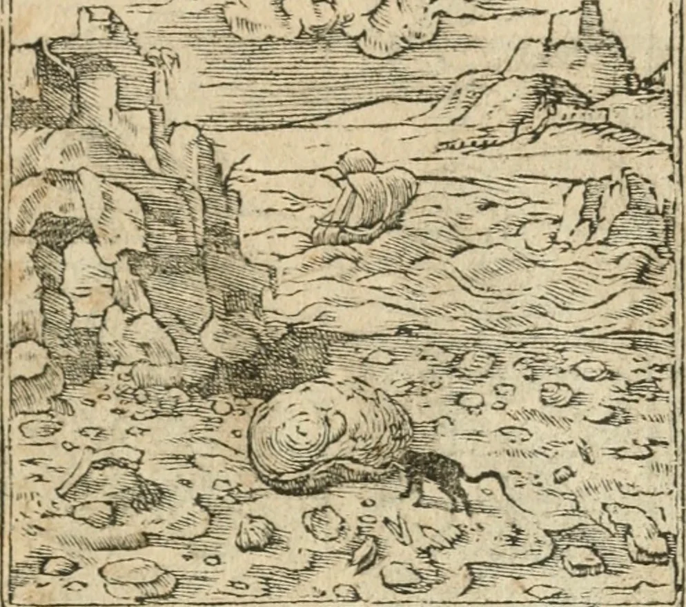 An illustration from Diverse imprese accommodate a diuerse moralità : con versi che i loro significati dichiarano insieme con molte altre nella lingua italiana non piu tradotte, 1564, leaf 96
