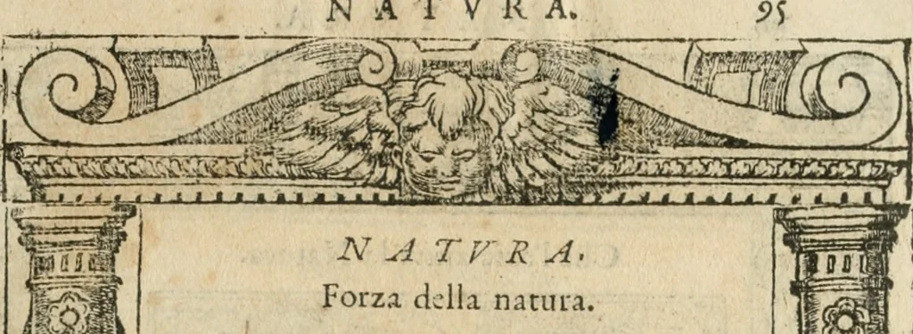 An illustration from Diverse imprese accommodate a diuerse moralità : con versi che i loro significati dichiarano insieme con molte altre nella lingua italiana non piu tradotte, 1564, leaf 98