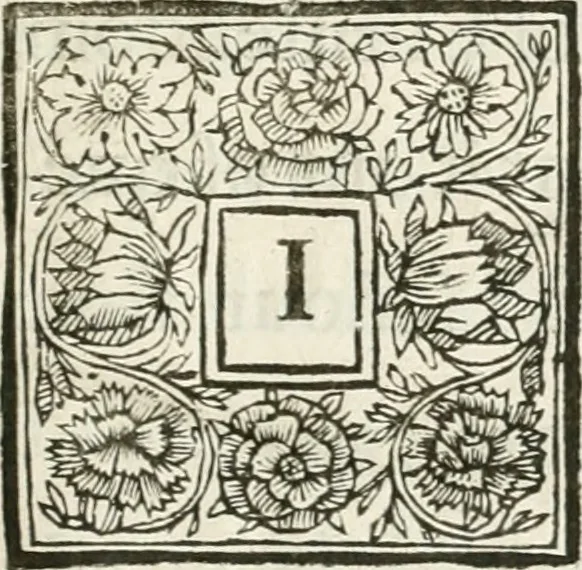 An illustration from An account of His Excellence Roger Earl of Castlemaine's embassy : from His Sacred Majesty James the IId., King of England, Scotland, France, and Ireland, &c., to His Holiness Innocent XI., 1688, leaf 12