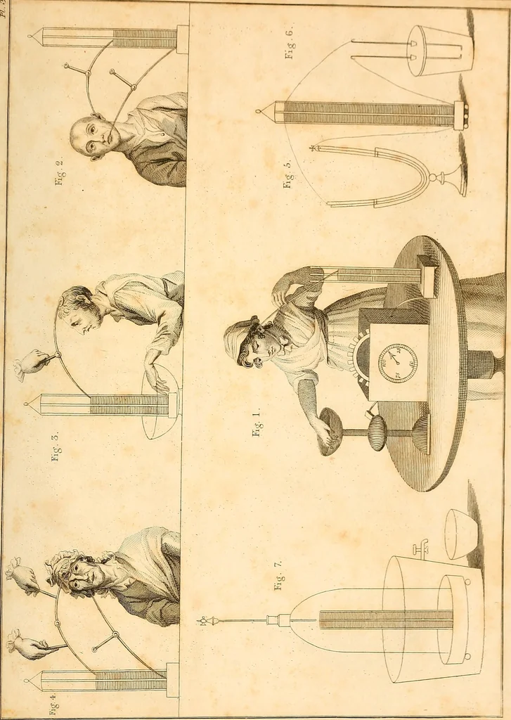 An illustration from An account of the late improvements in galvanism : with a series of curious and interesting experiments performed before the commissioners of the French National Institute, and repeated lately in the anatomical theatres of London, 1803, leaf 246