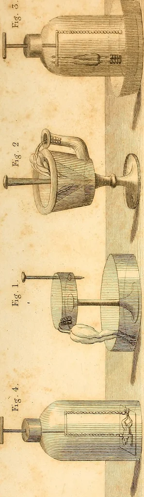 An illustration from An account of the late improvements in galvanism : with a series of curious and interesting experiments performed before the commissioners of the French National Institute, and repeated lately in the anatomical theatres of London, 1803, leaf 248