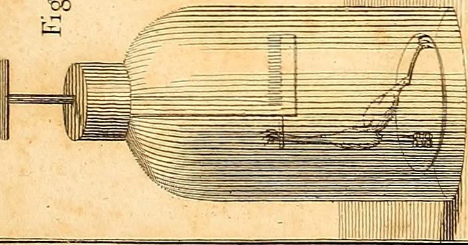 An illustration from An account of the late improvements in galvanism : with a series of curious and interesting experiments performed before the commissioners of the French National Institute, and repeated lately in the anatomical theatres of London, 1803, leaf 248