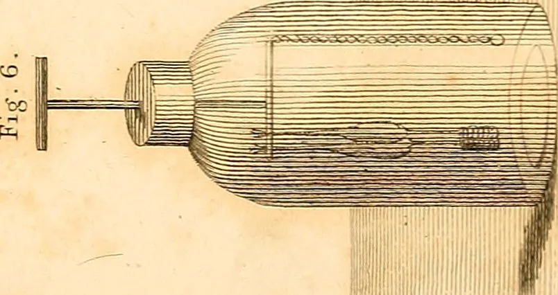 An illustration from An account of the late improvements in galvanism : with a series of curious and interesting experiments performed before the commissioners of the French National Institute, and repeated lately in the anatomical theatres of London, 1803, leaf 248