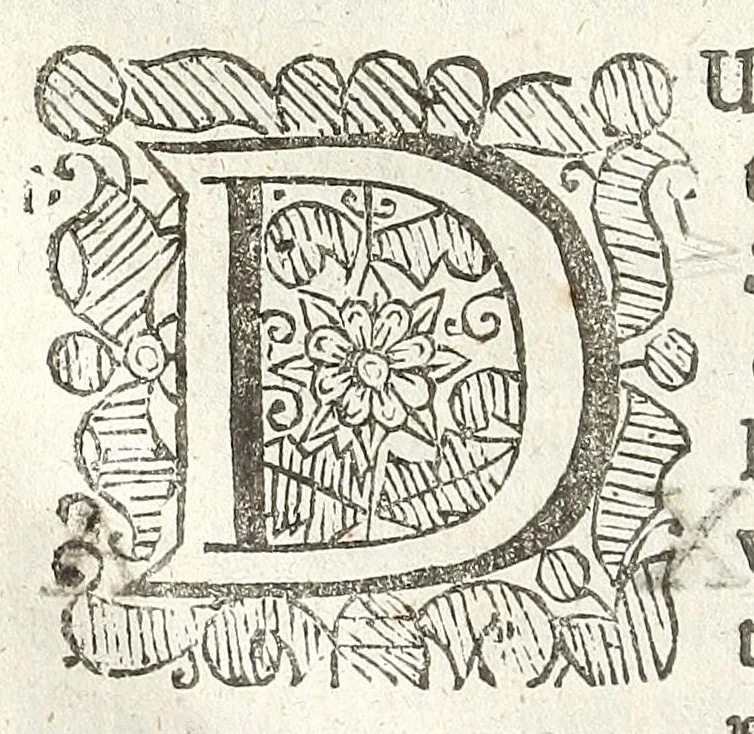 An illustration from An account of several travels through a great part of Germany : in four journeys ... : wherein the mines, baths, and other curiosities of those parts are treated of : illustrated with sculptures, 1677, leaf 170