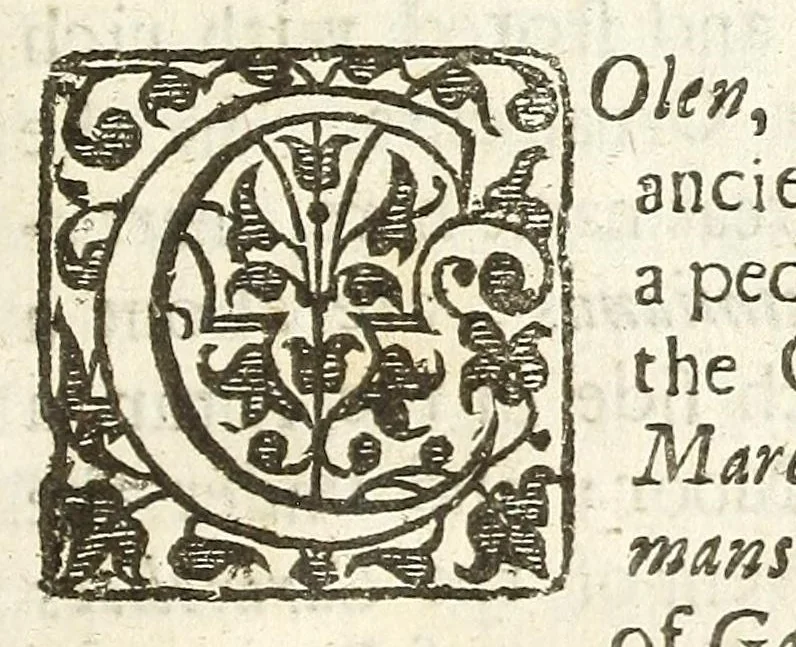 An illustration from An account of several travels through a great part of Germany : in four journeys ... : wherein the mines, baths, and other curiosities of those parts are treated of : illustrated with sculptures, 1677, leaf 43