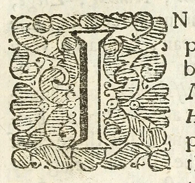An illustration from An account of several travels through a great part of Germany : in four journeys ... : wherein the mines, baths, and other curiosities of those parts are treated of : illustrated with sculptures, 1677, leaf 5