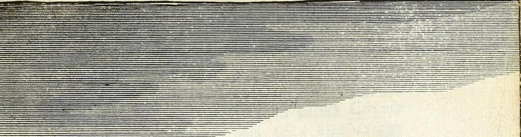 An illustration from An account of several travels through a great part of Germany : in four journeys ... : wherein the mines, baths, and other curiosities of those parts are treated of : illustrated with sculptures, 1677, leaf 73