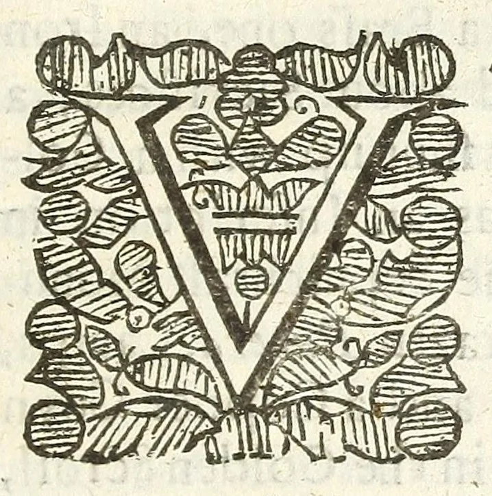 An illustration from An account of several travels through a great part of Germany : in four journeys ... : wherein the mines, baths, and other curiosities of those parts are treated of : illustrated with sculptures, 1677, leaf 77