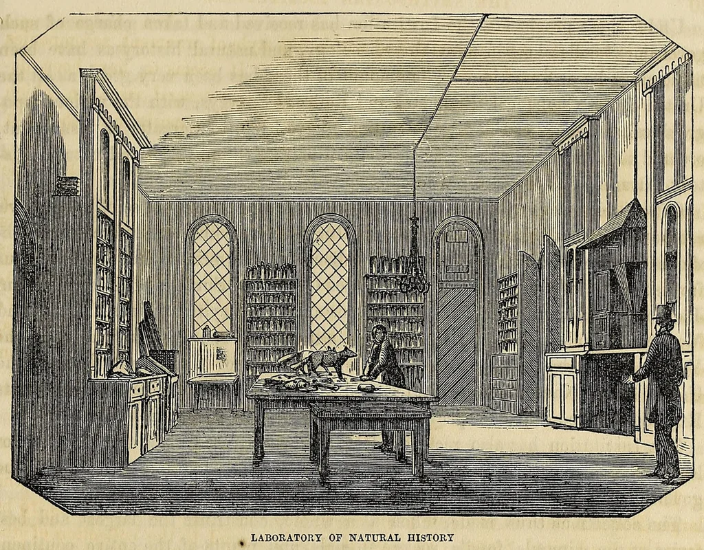 An illustration from An account of the Smithsonian Institution, its founder, building, operations, etc. : prepared from the reports of Prof. Henry to the regents, and other authentic sources, 1859, leaf 29