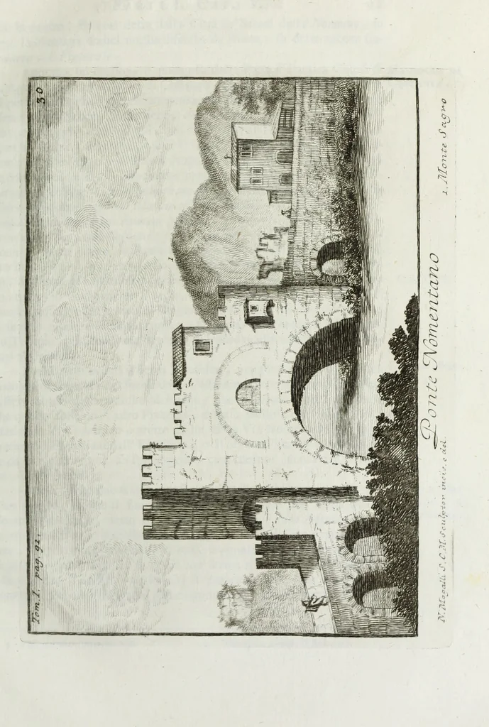 An illustration from Accurata e succinta descrizione topografica delle antichità di Roma, 1763, leaf 194