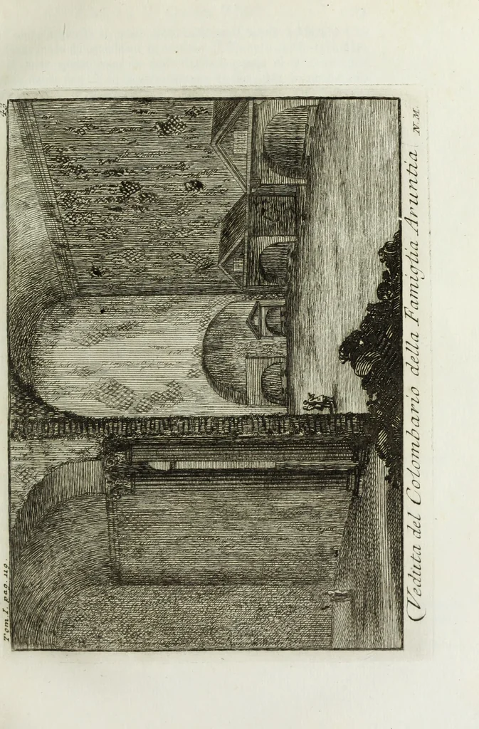 An illustration from Accurata e succinta descrizione topografica delle antichità di Roma, 1763, leaf 248