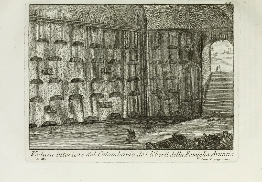 An illustration from Accurata e succinta descrizione topografica delle antichità di Roma, 1763, leaf 252