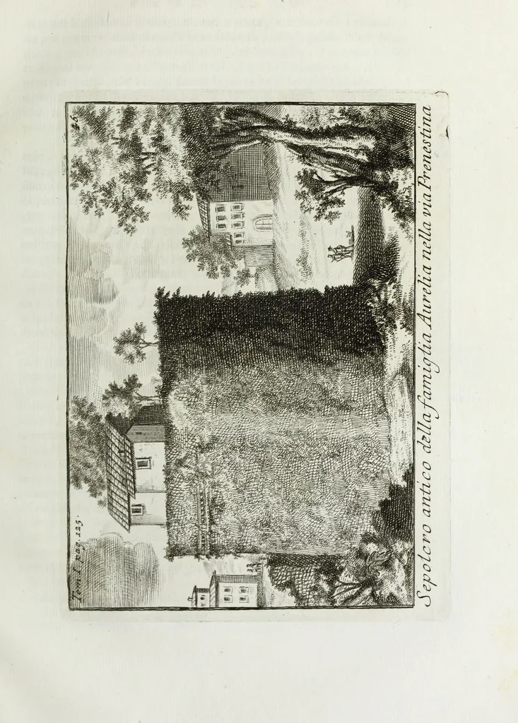 An illustration from Accurata e succinta descrizione topografica delle antichità di Roma, 1763, leaf 260