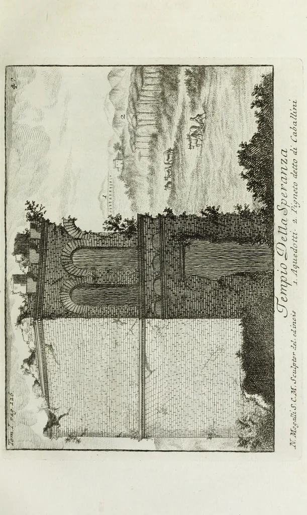An illustration from Accurata e succinta descrizione topografica delle antichità di Roma, 1763, leaf 264