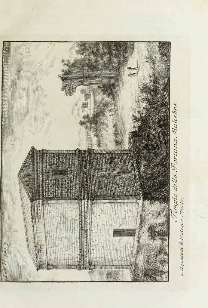 An illustration from Accurata e succinta descrizione topografica delle antichità di Roma, 1763, leaf 320
