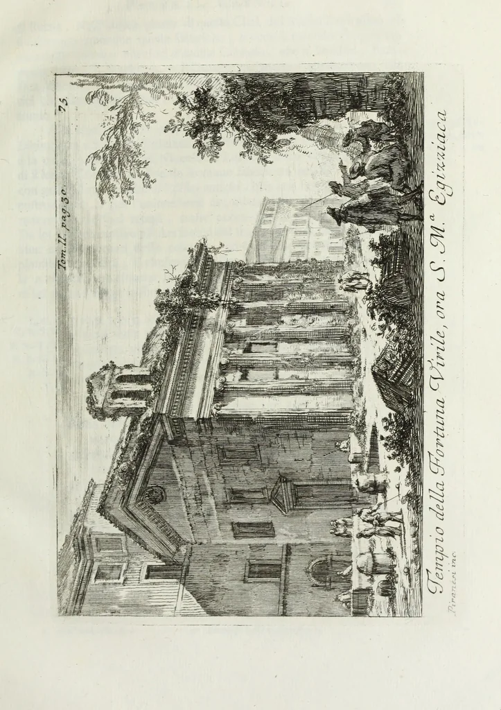 An illustration from Accurata e succinta descrizione topografica delle antichità di Roma, 1763, leaf 376