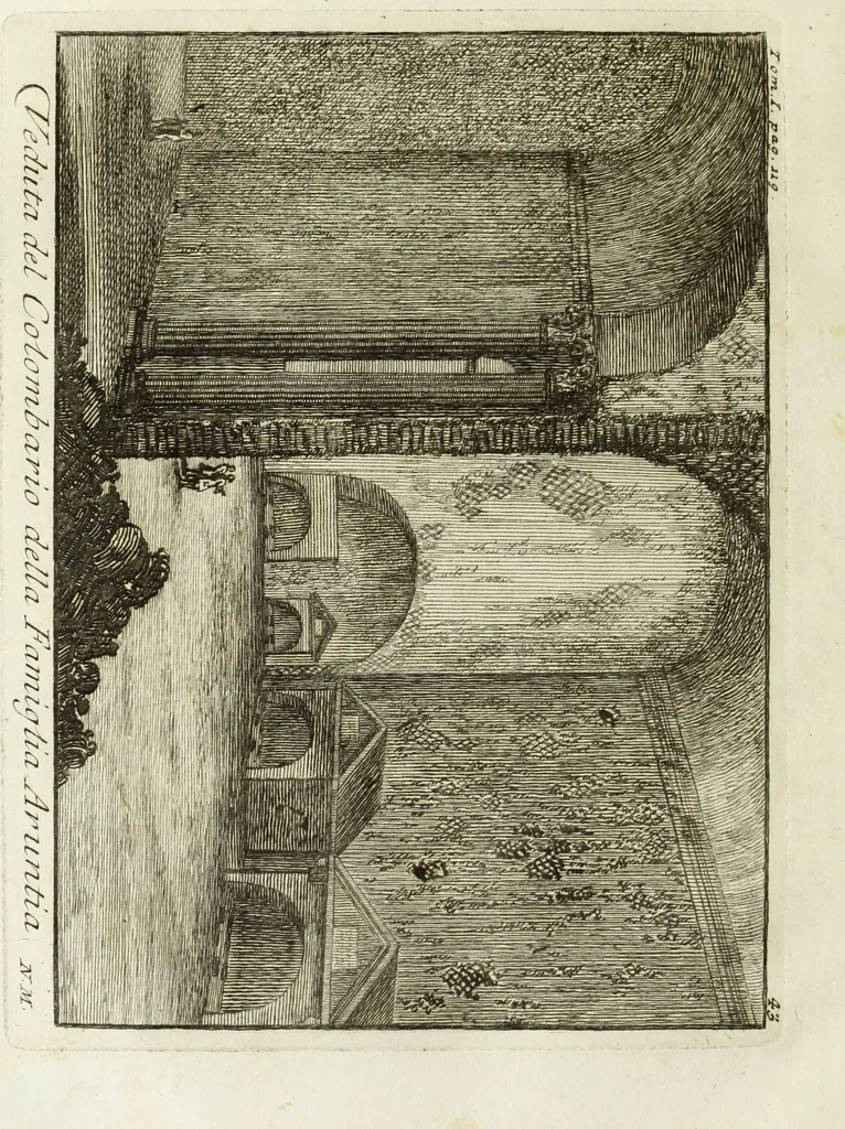 An illustration from Accurata e succinta descrizione topografica delle antichità di Roma, 1763, leaf 243