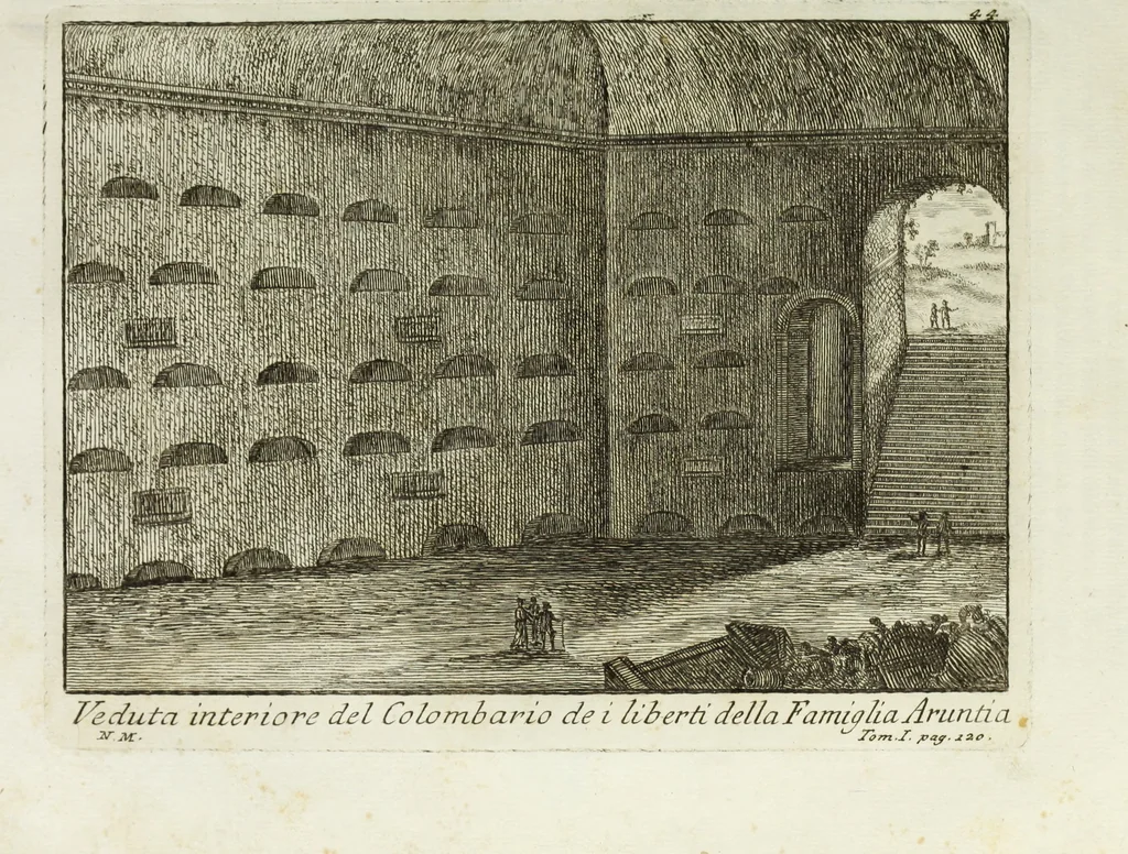An illustration from Accurata e succinta descrizione topografica delle antichità di Roma, 1763, leaf 246