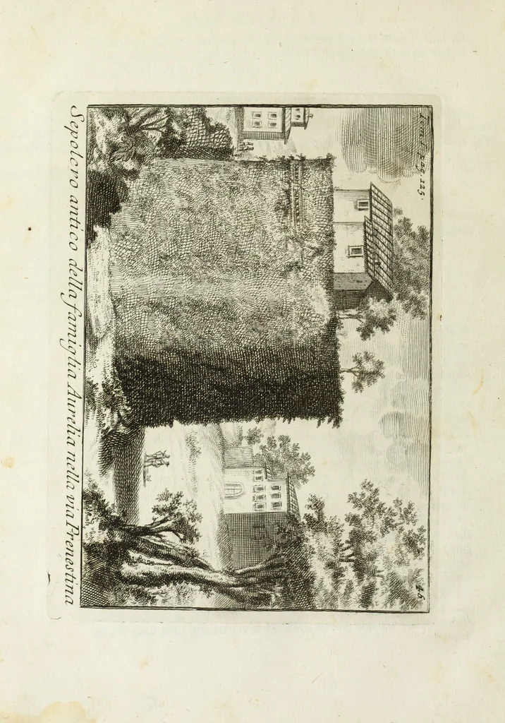 An illustration from Accurata e succinta descrizione topografica delle antichità di Roma, 1763, leaf 255
