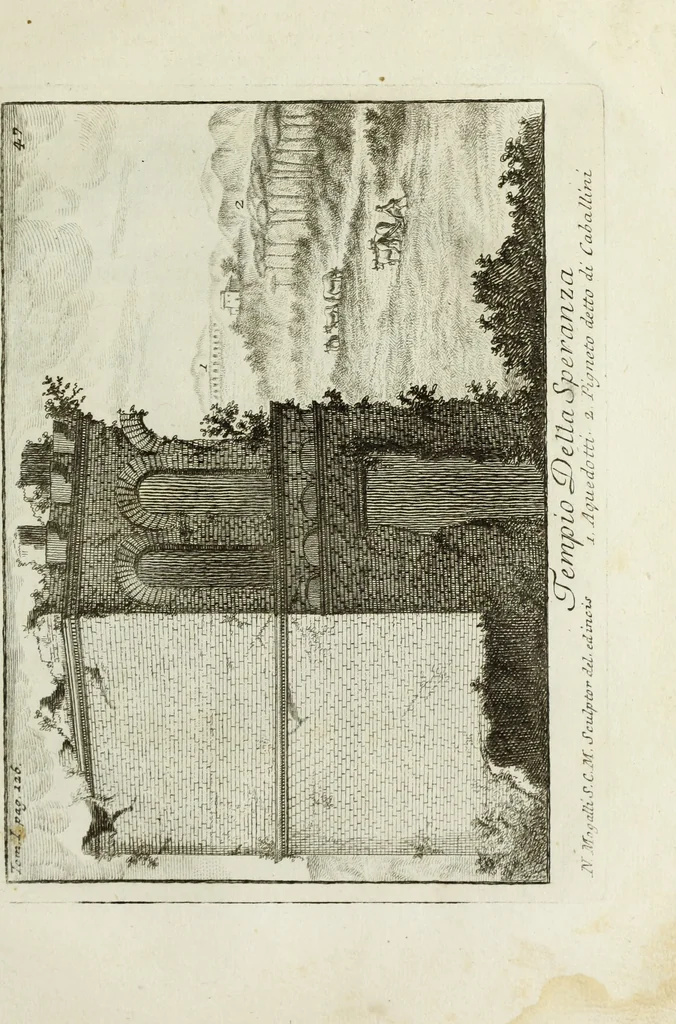 An illustration from Accurata e succinta descrizione topografica delle antichità di Roma, 1763, leaf 258