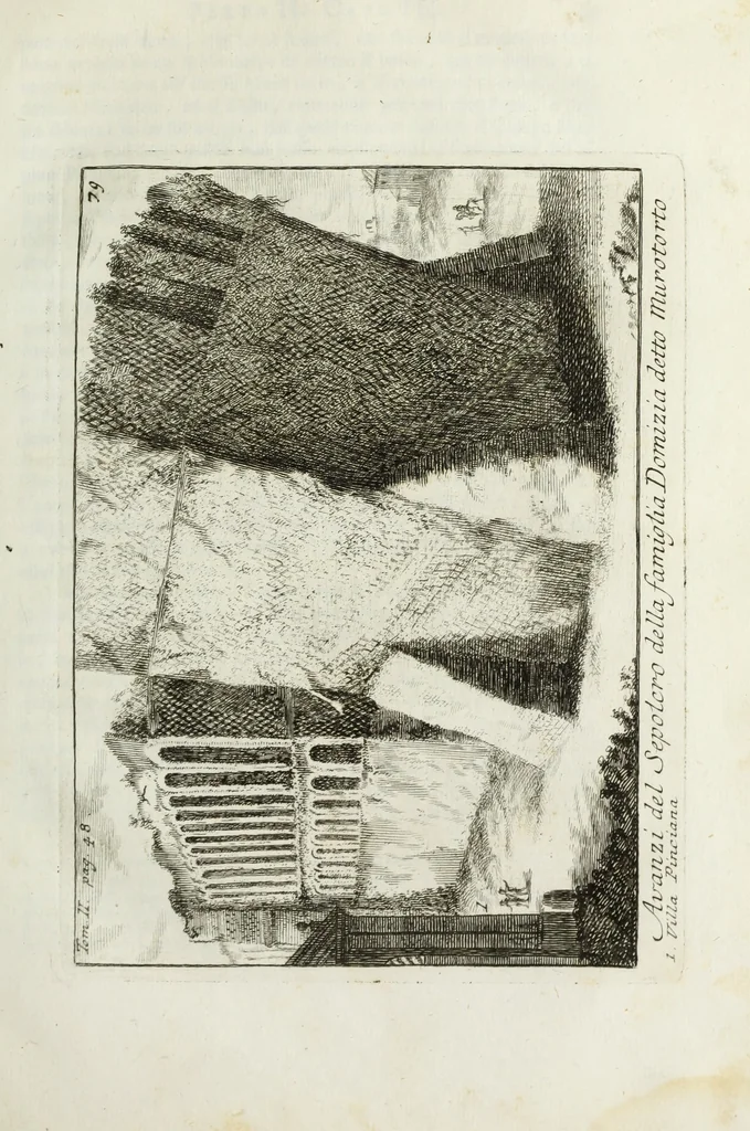 An illustration from Accurata e succinta descrizione topografica delle antichità di Roma, 1763, leaf 98