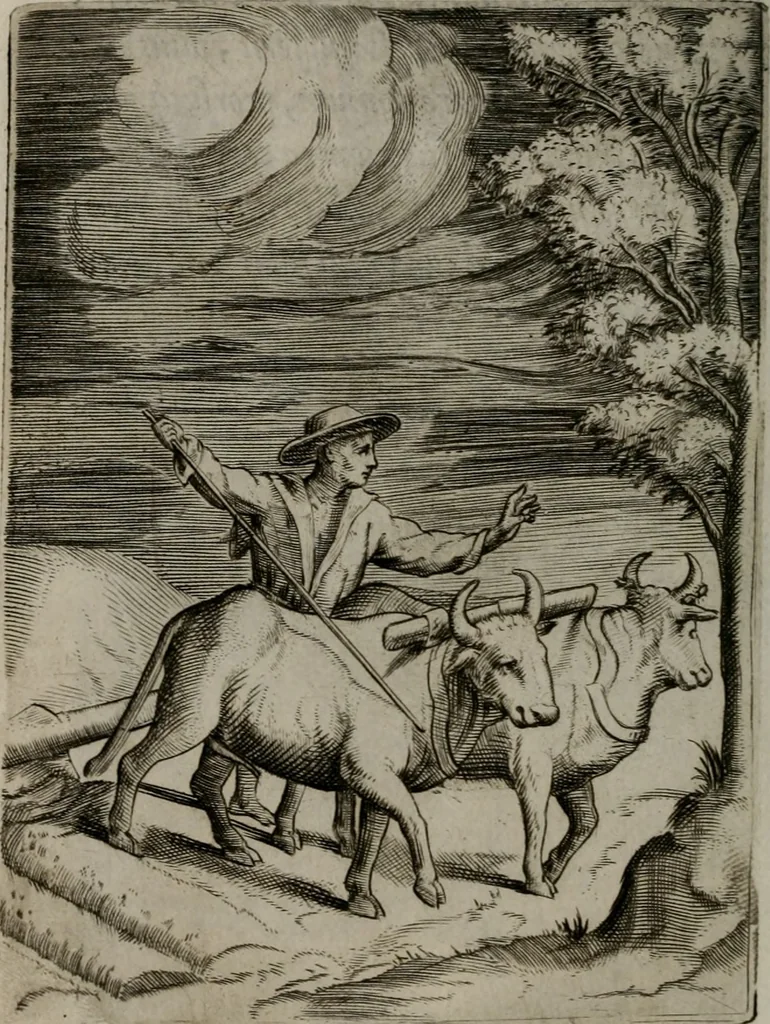 An illustration from Achillis Bocchii Bonon. Symbolicarum quaestionum, de vniuerso genere, quas serio ludebat, libri quinque, 1574, leaf 133
